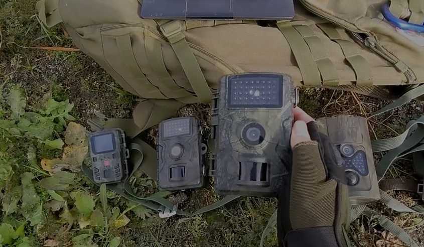 Любопытные лось и косуля изучали фотоловушку биологов на урочище под Саратовом