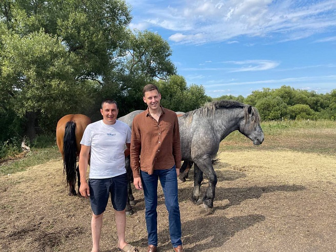 Самый умный конь-тяжеловоз Саратовской области живет под Петровском