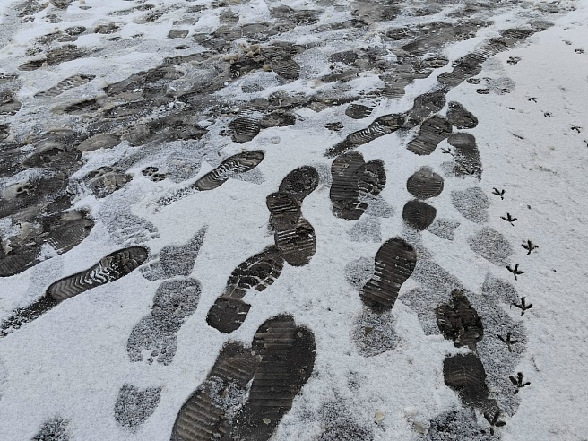 Циклон принесет потепление и снег в Саратовскую область