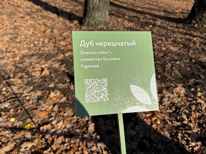 Почти три тысячи саратовцев посетили обновленный Ботсад СГУ