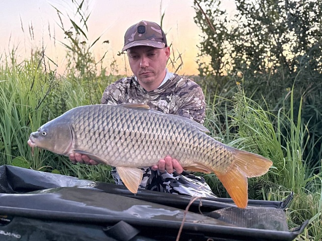 Аткарчане поймали на турнире по спортивной рыбаке 13-килограммового карпа