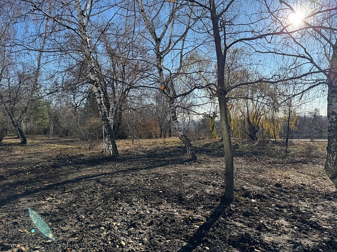 Почти три тысячи саратовцев посетили обновленный Ботсад СГУ