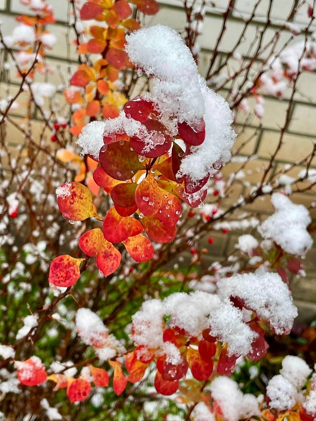 Володин поделился снимками заснеженного Иоанновского монастыря под Саратовом