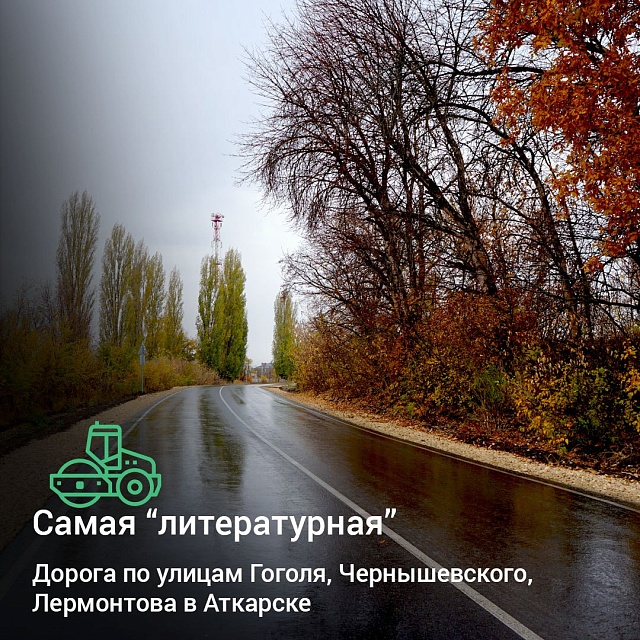 Саратовцам рассказали, где в области находится "самая новогодняя дорога"