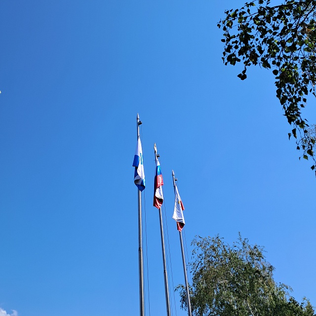 В Саратове отмечают День флага России. Фоторепортаж