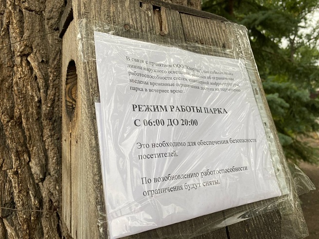 Саратовцы обеспокоены гибелью рыбы в прудах Горпарка