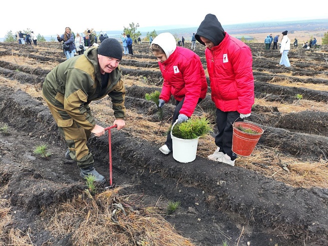 Саратовская область возглавила всероссийский рейтинг по высадке деревьев