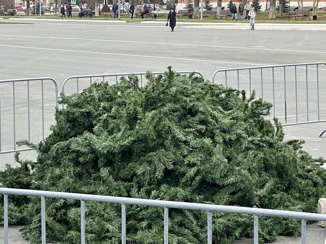 На Театральной площади Саратова к установке готовят главный новогодний символ