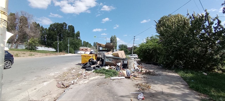 Саратовцы жалуются на крыс