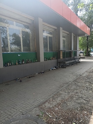 Саратовцы жалуются на "выставку" пивных бутылок в Заводском районе
