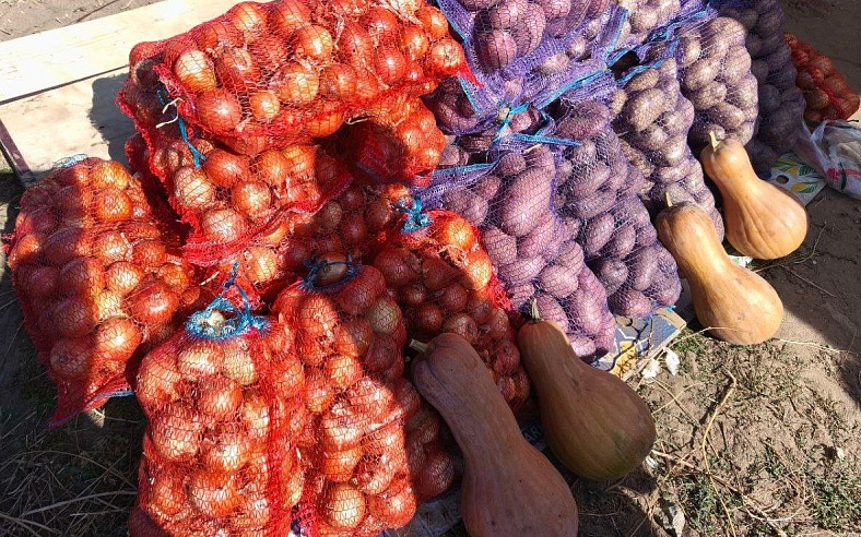 В Смеловке горожане дегустировали блюда из лука