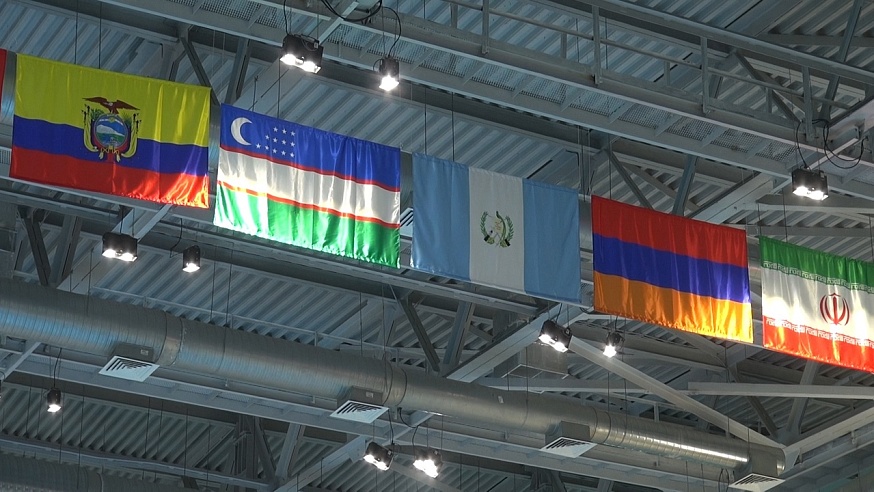 Саратовцы смогут бесплатно увидеть открытие II Кубка Евразийских стран по прыжкам в воду
