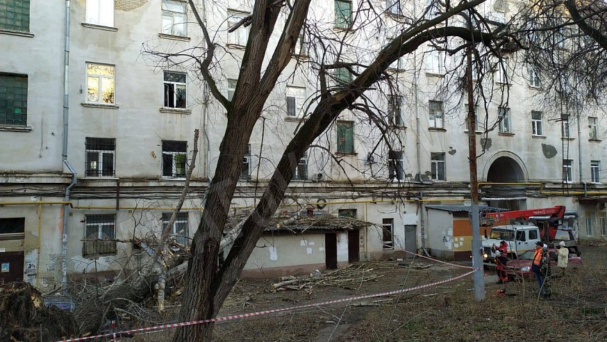 В Ленинском районе старое дерево повредило машины и несколько квартир