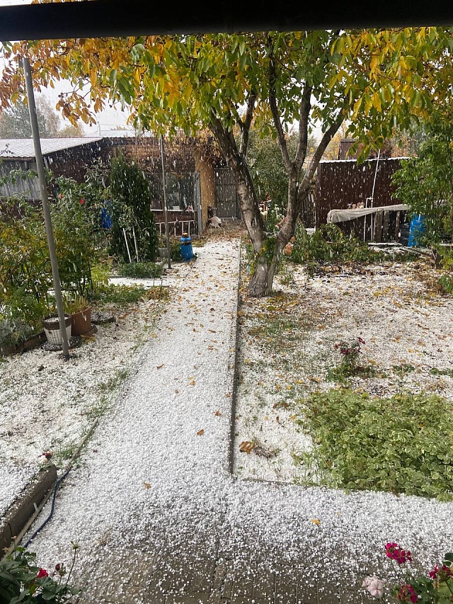 В Саратове громыхал гром и выпал град