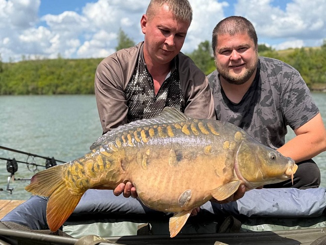 Аткарчане поймали на турнире по спортивной рыбаке 13-килограммового карпа