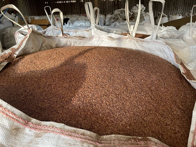 Саратовский лен экспортируют в Бельгию и Германию