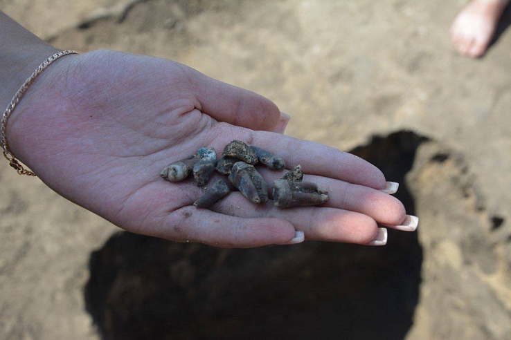 В Саратовской области археологи обнаружили родовой могильник племенного вождя