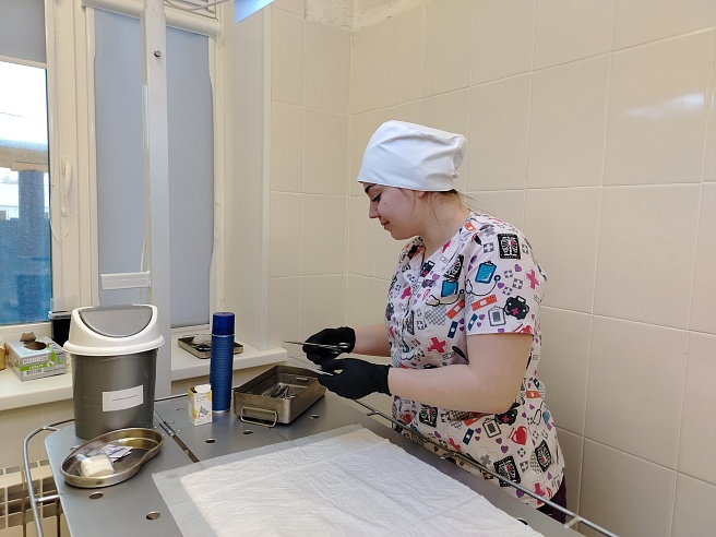 В Саратовской области ветеринары за зимние праздники оказали помощь более 620 пациентам