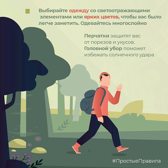 Саратовцам рассказали, как пойти в лес за грибами и не потеряться