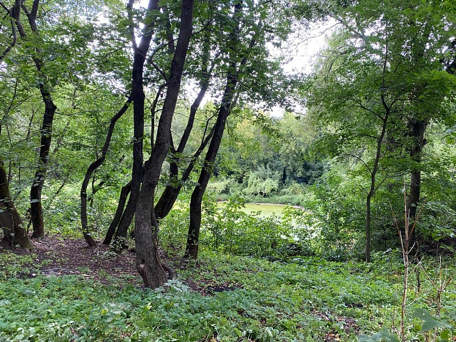 Журналист "Саратов 24" прошла по маршруту в Устиновской усадьбе