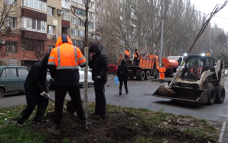 Более 400 новых деревьев появится на улицах Саратова этой осенью