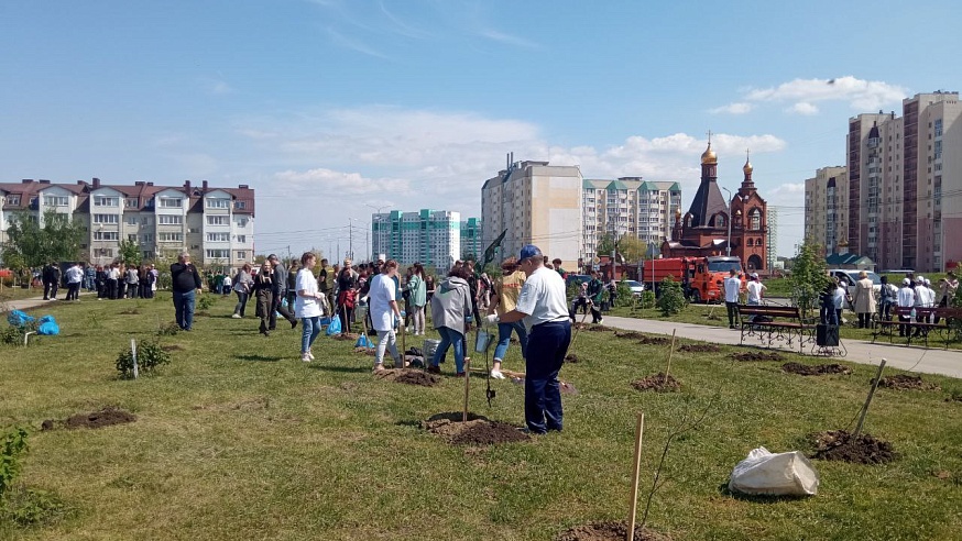 Более 40 тысяч жителей Саратовской области поучаствовали в экологических мероприятиях