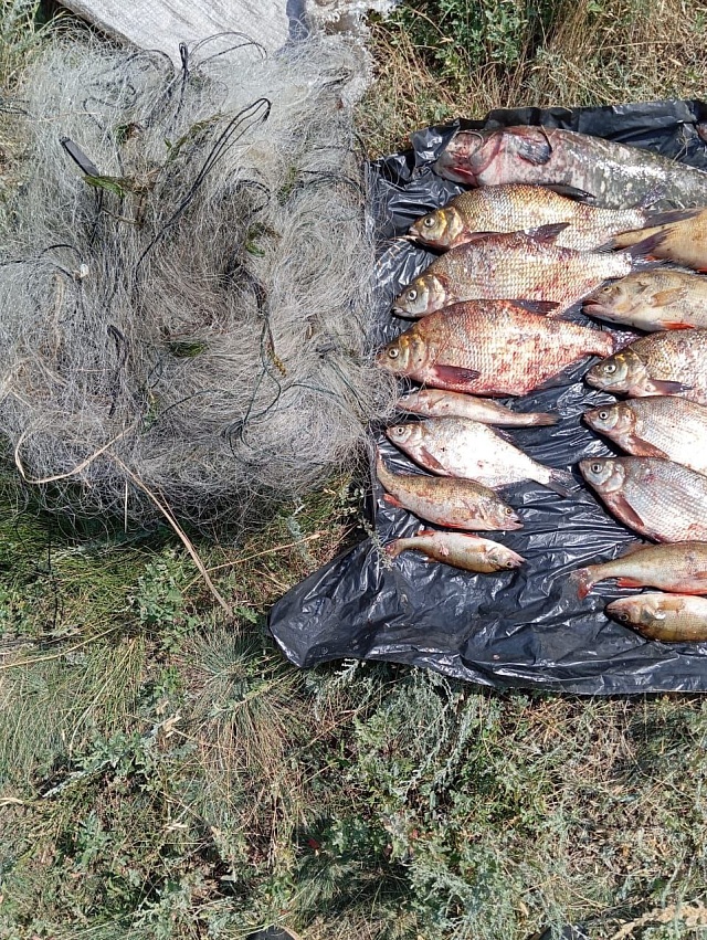 У саратовских браконьеров изъяли 86 килограммов рыбы и восемь сетей