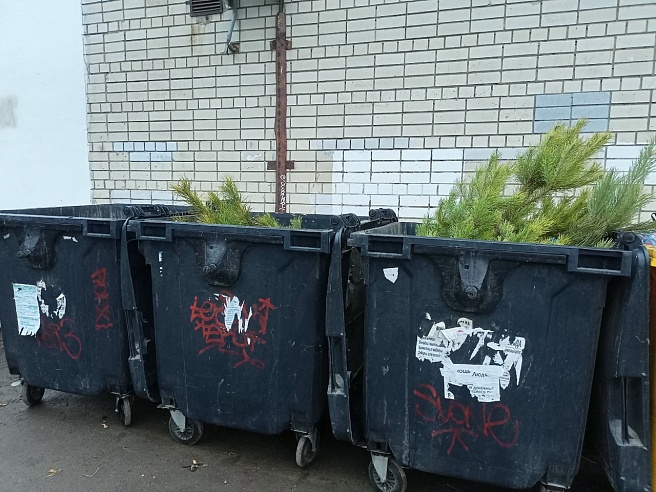 На Новый год саратовцам разрешили выбрасывать на мусорку только пластиковые елки